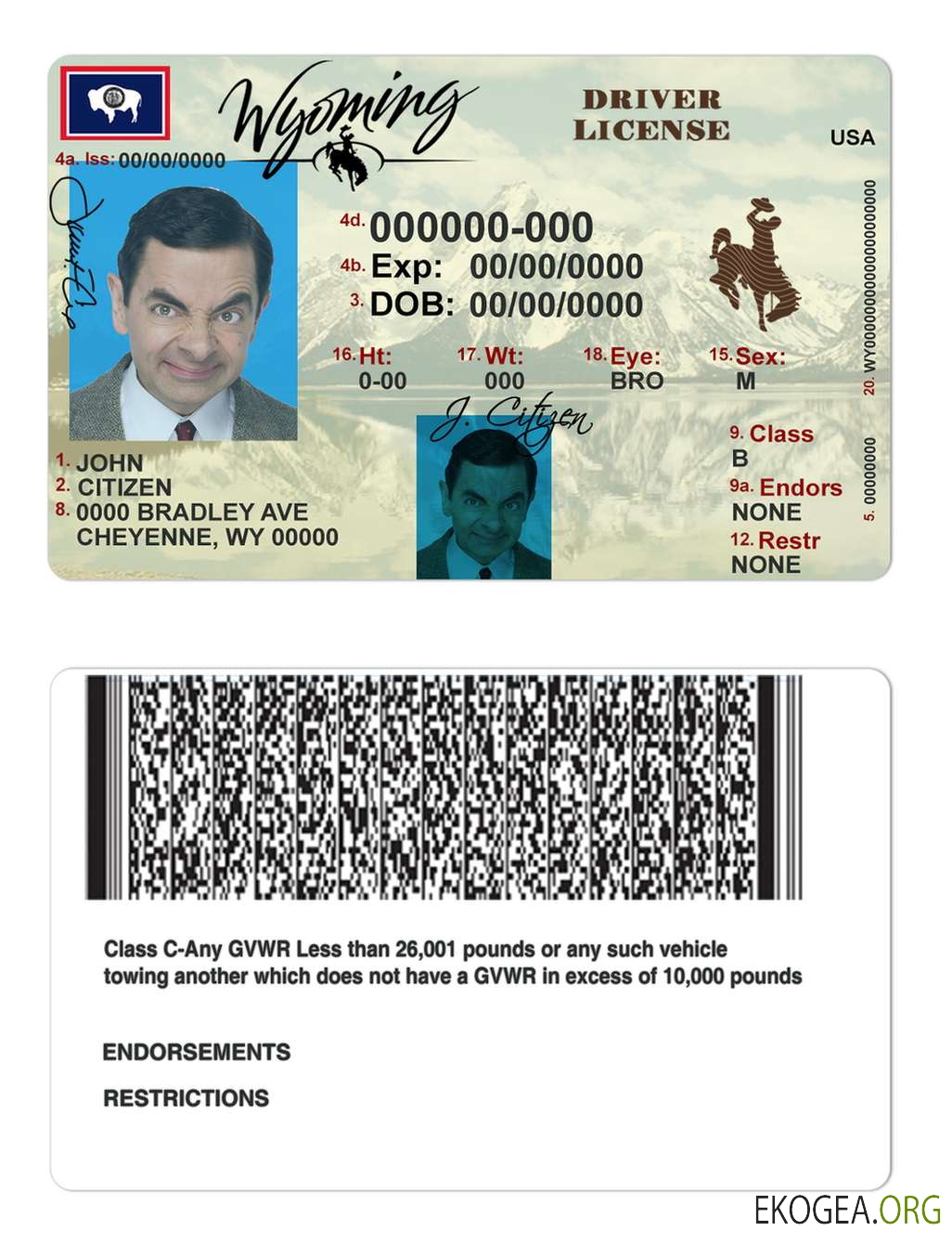 Usa Wyoming state template